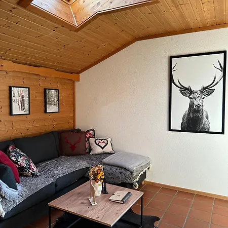 Lilly Chalet- With Private Sauna, Close To Lifts باد كلينكيرشهايم