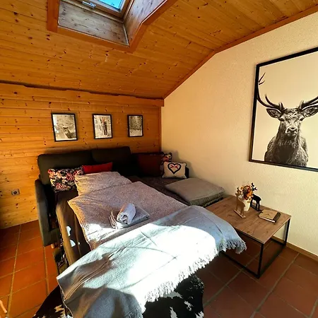 Lilly Chalet- With Private Sauna, Close To Lifts Appartement