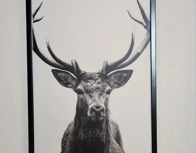 Appartamento Lilly Chalet- With Private Sauna, Close To Lifts *